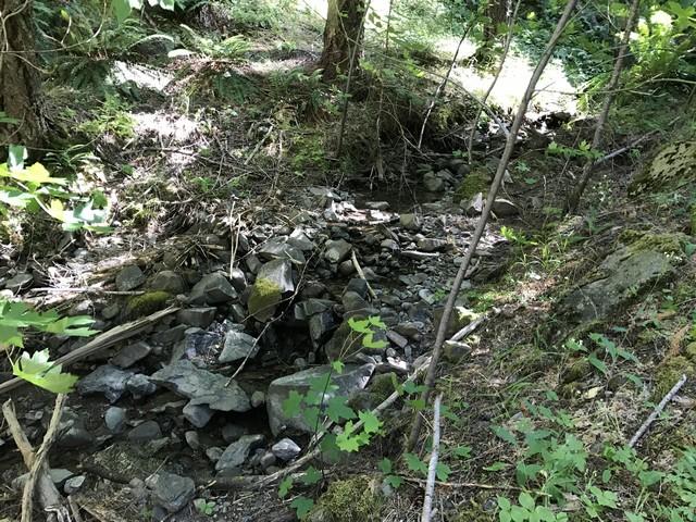 98 Ruth Lake, Unit NONE Mad River, CA 95552 - Photo 9 of 22
