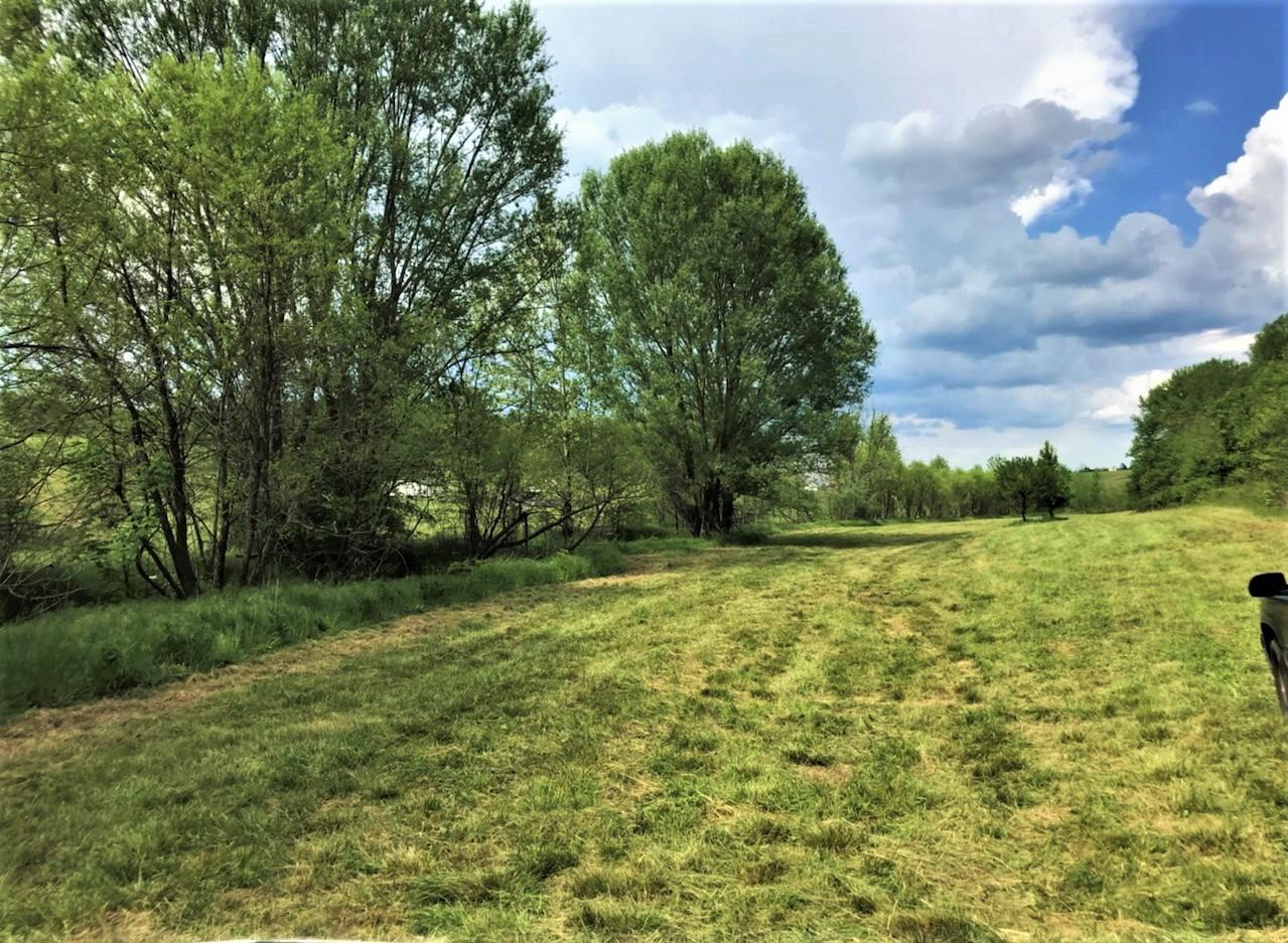 Tweed Springs Road Greeneville, TN 37743 - Photo 1 of 17 1
