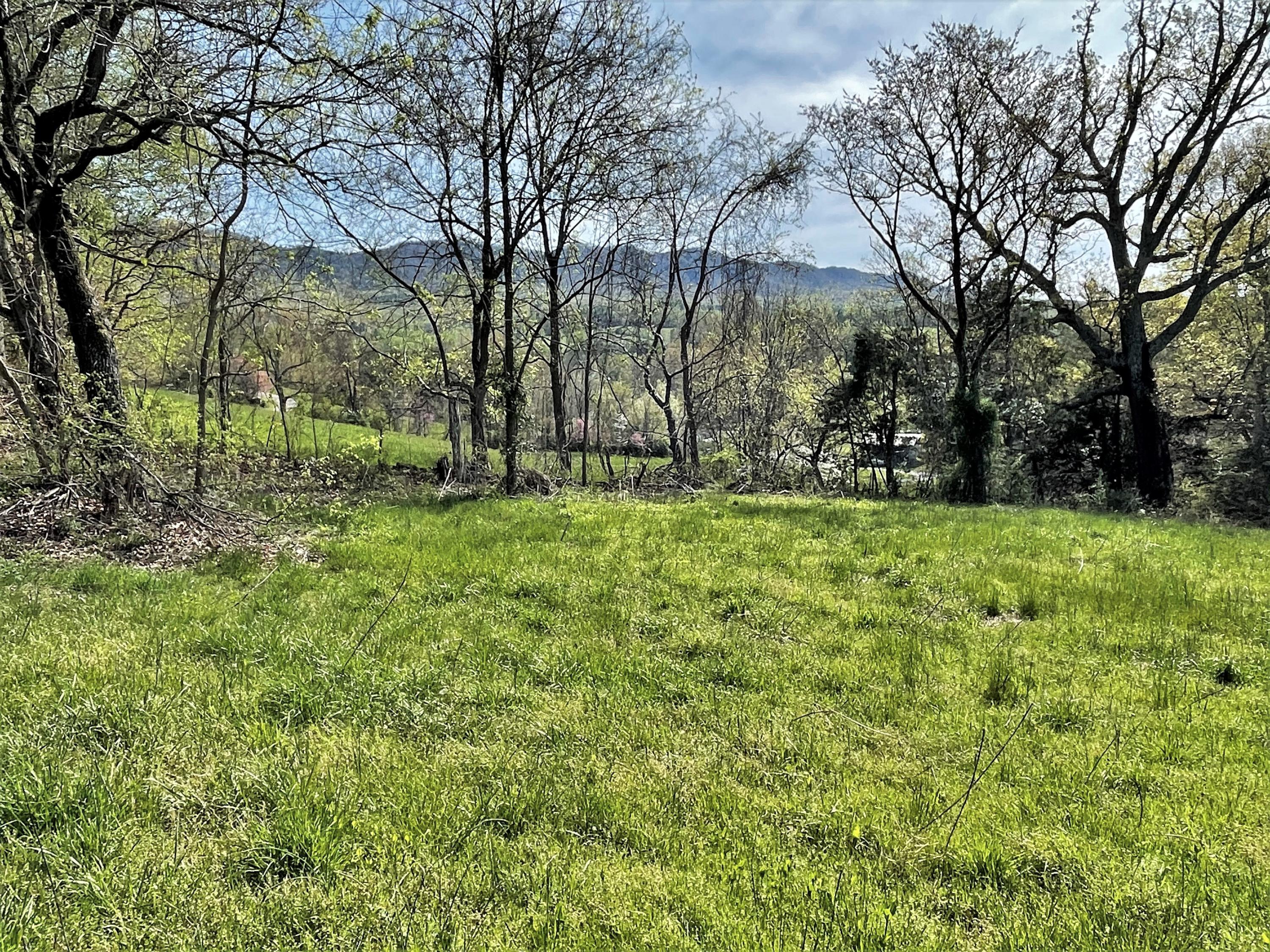Tweed Springs Road Greeneville, TN 37743 - Photo 11 of 17 10a