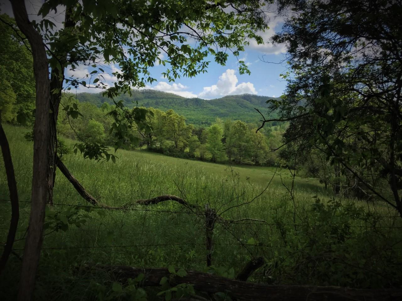 Tweed Springs Road Greeneville, TN 37743 - Photo 13 of 17 12