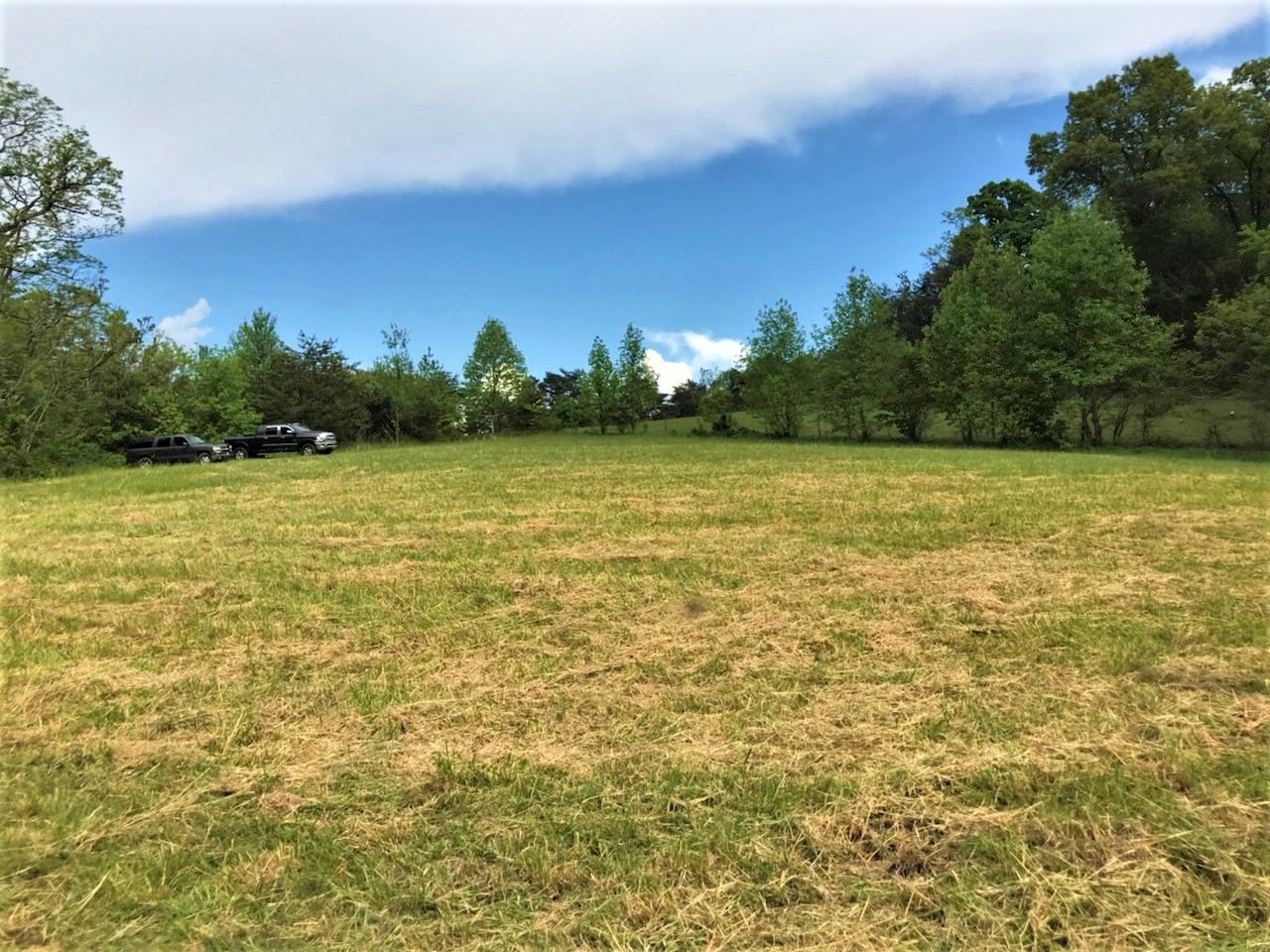 Tweed Springs Road Greeneville, TN 37743 - Photo 14 of 17 13