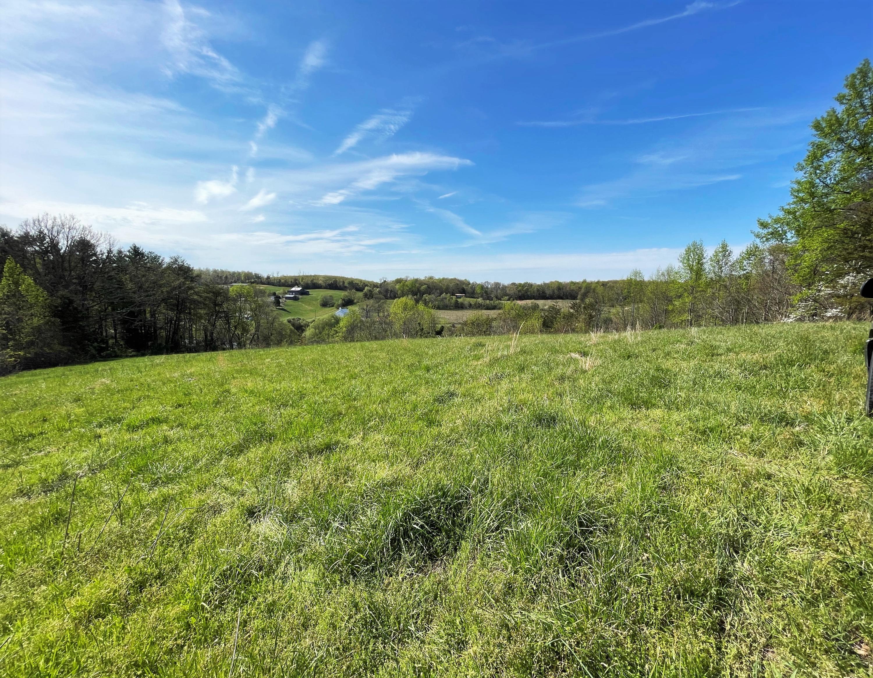Tweed Springs Road Greeneville, TN 37743 - Photo 15 of 17 14
