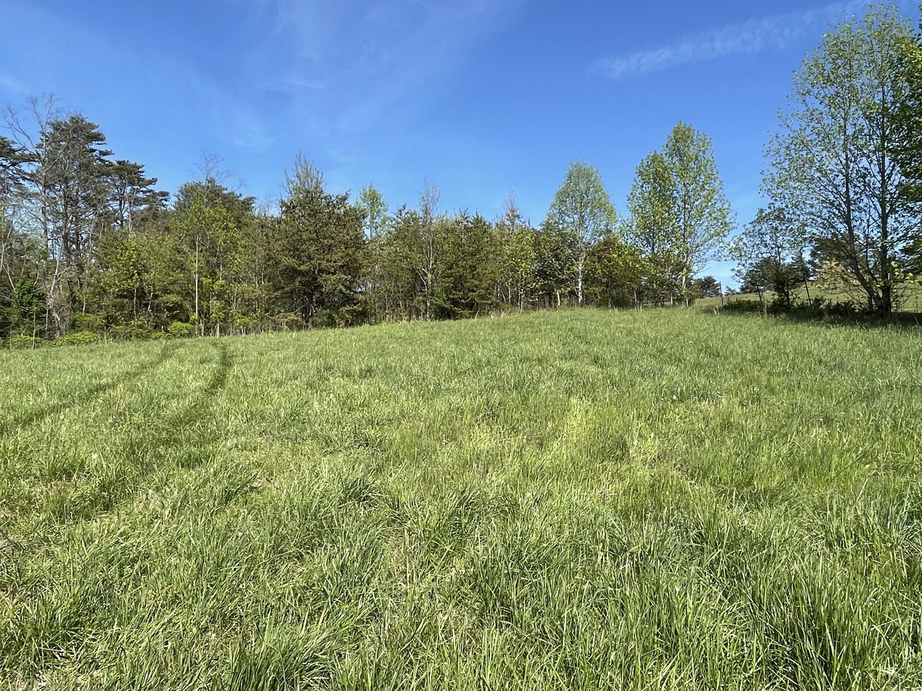Tweed Springs Road Greeneville, TN 37743 - Photo 16 of 17 15