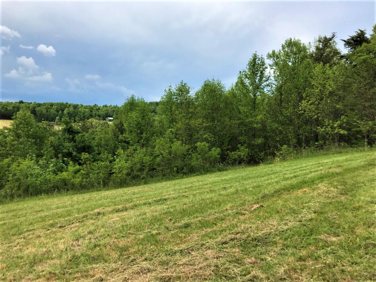 Tweed Springs Road Greeneville, TN 37743 - Photo 17 of 17 16