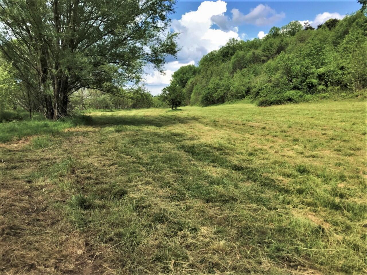 Tweed Springs Road Greeneville, TN 37743 - Photo 4 of 17 4