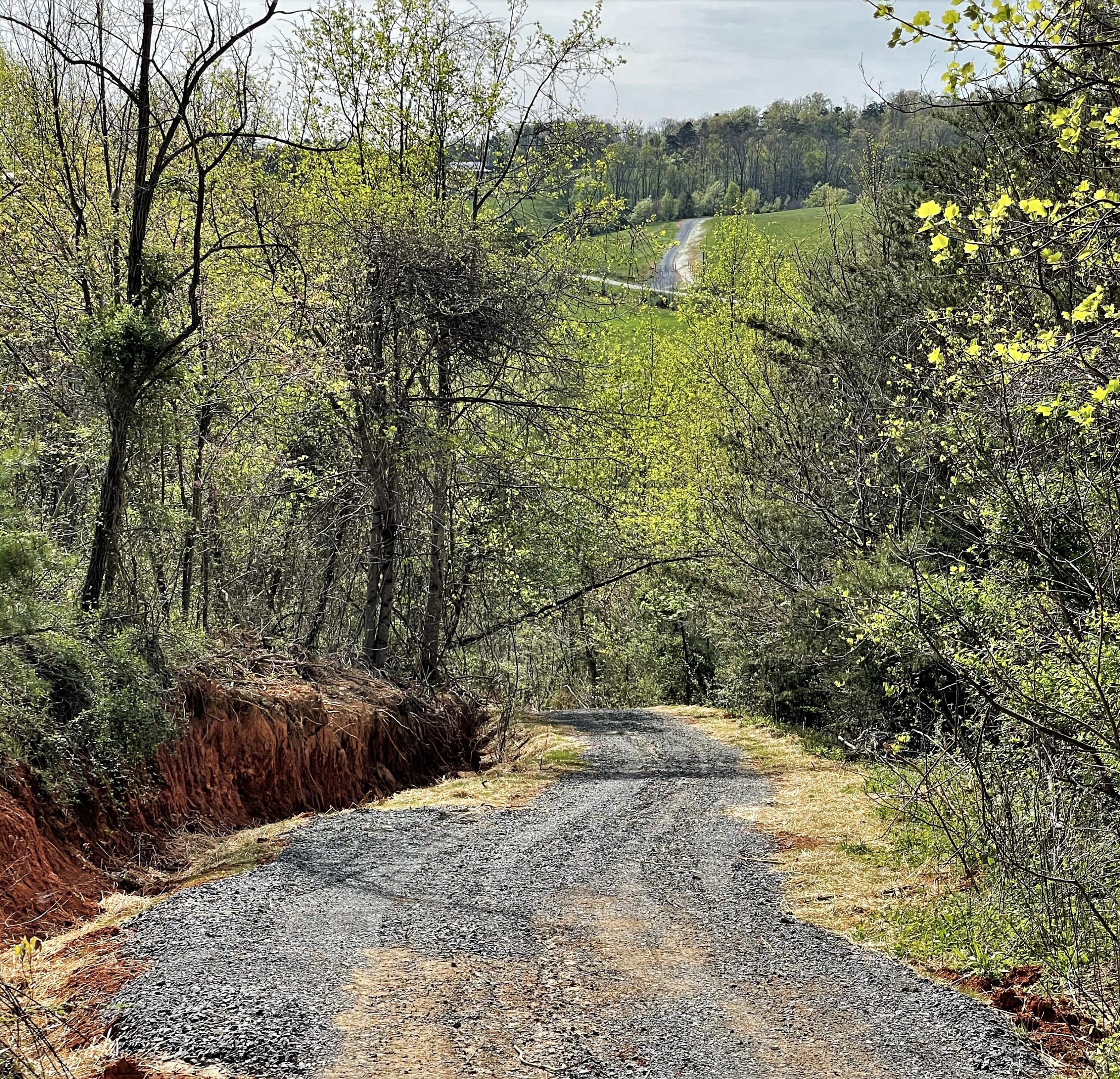 Tweed Springs Road Greeneville, TN 37743 - Photo 5 of 17 5
