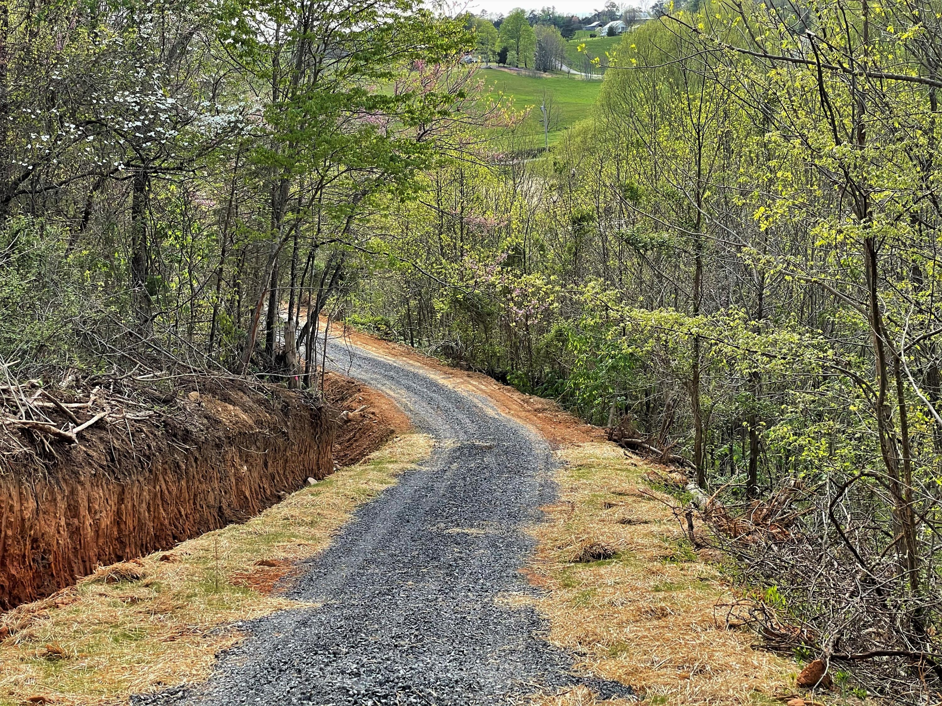 Tweed Springs Road Greeneville, TN 37743 - Photo 6 of 17 6