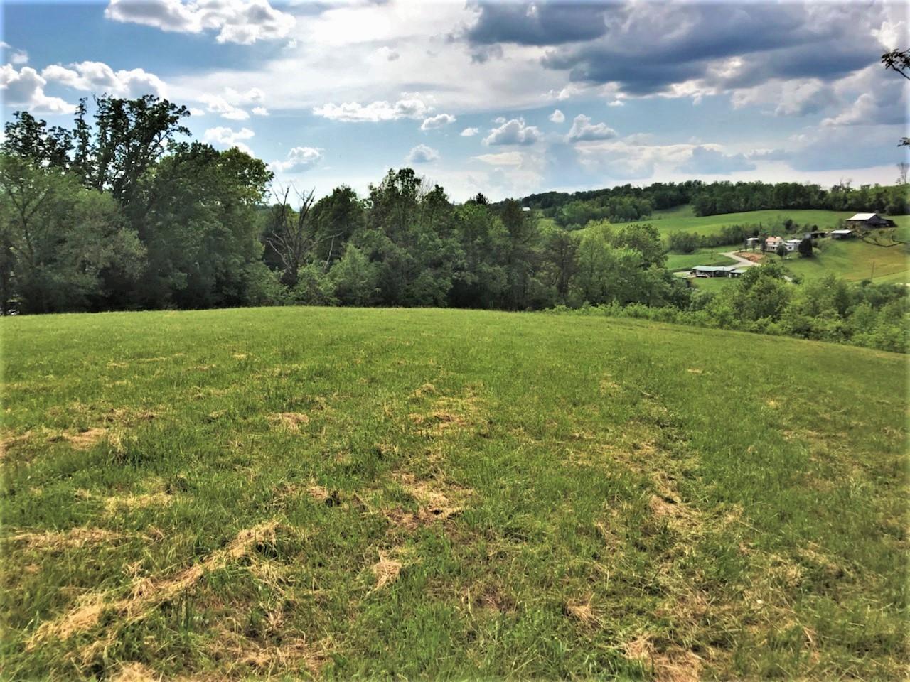 Tweed Springs Road Greeneville, TN 37743 - Photo 8 of 17 8