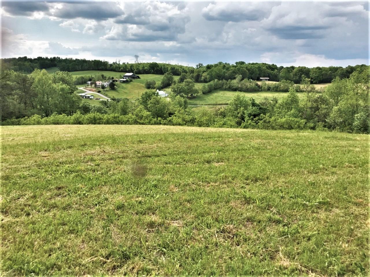 Tweed Springs Road Greeneville, TN 37743 - Photo 9 of 17 9