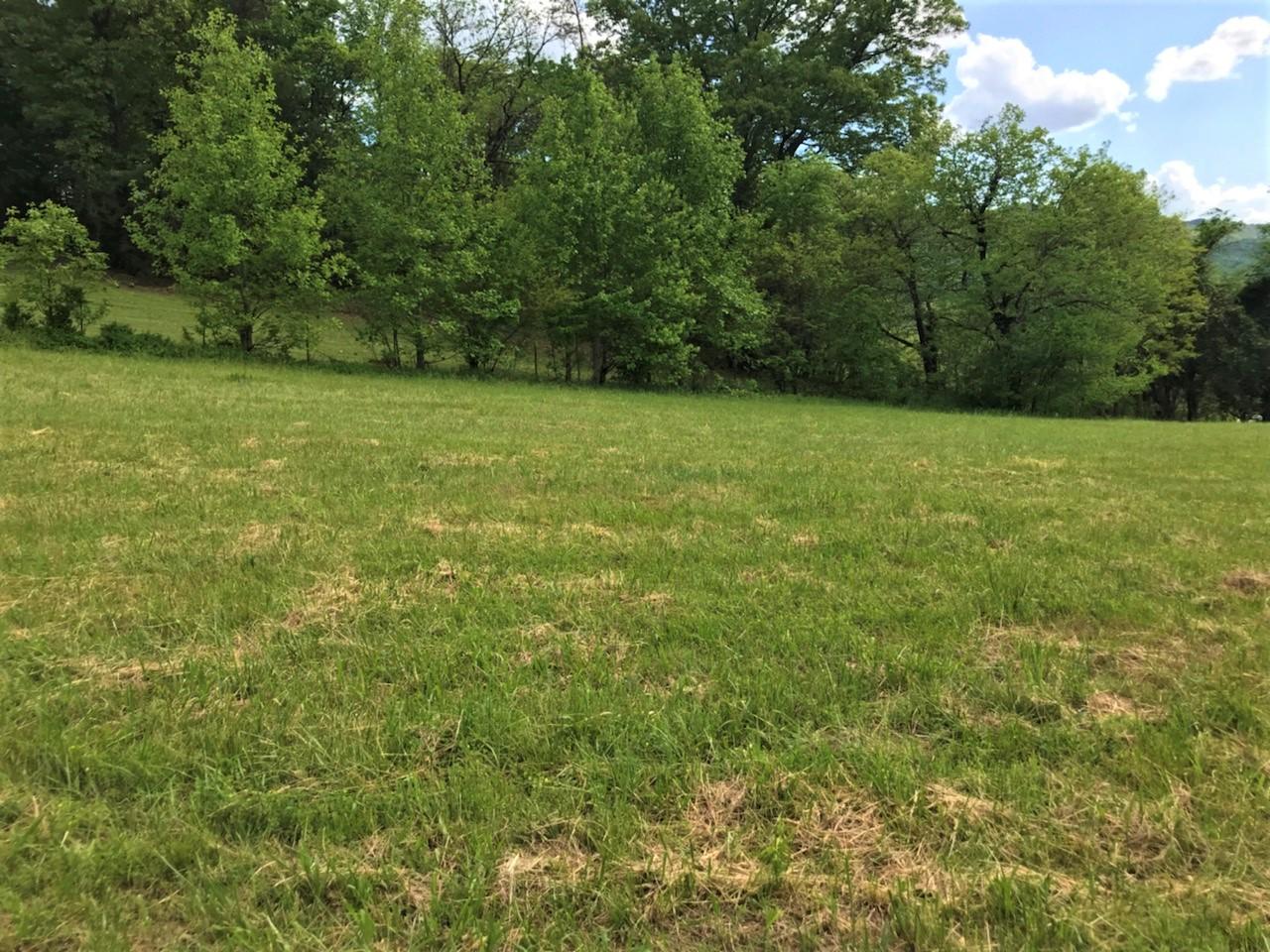 Tweed Springs Road Greeneville, TN 37743 - Photo 10 of 17 10