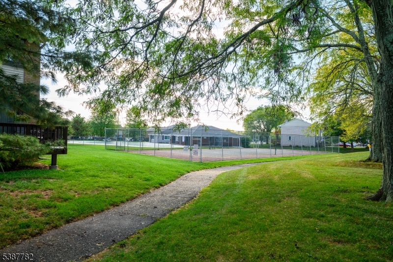 920 Robin Road Hillsborough, NJ 08844 - Photo 26 of 29 a view of a backyard with large trees