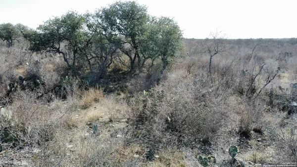 a view of a dry yard
