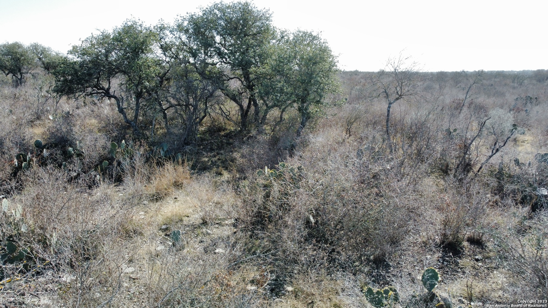 60 Friendship Hills Uvalde, TX 78801 - Photo 1 of 5 a view of a dry yard