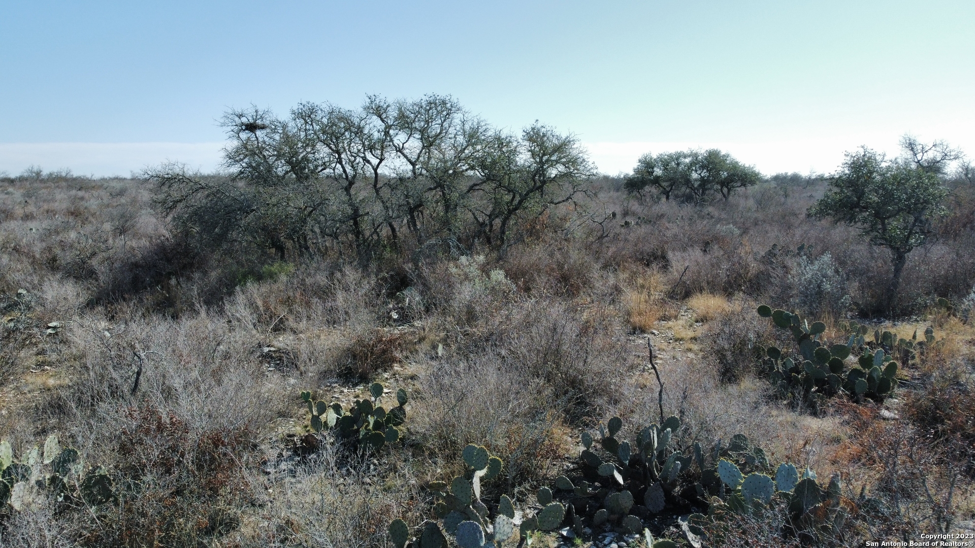 60 Friendship Hills Uvalde, TX 78801 - Photo 2 of 5 a view of a field of grass and trees