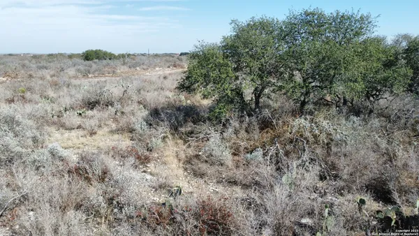 a view of a dry yard with lots of bushes