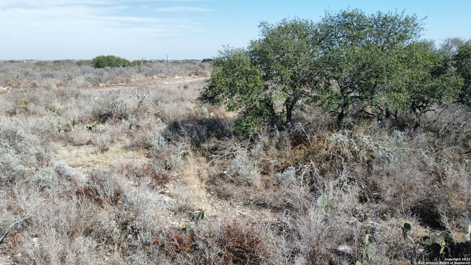 60 Friendship Hills Uvalde, TX 78801 - Photo 3 of 5 a view of a dry yard with lots of bushes
