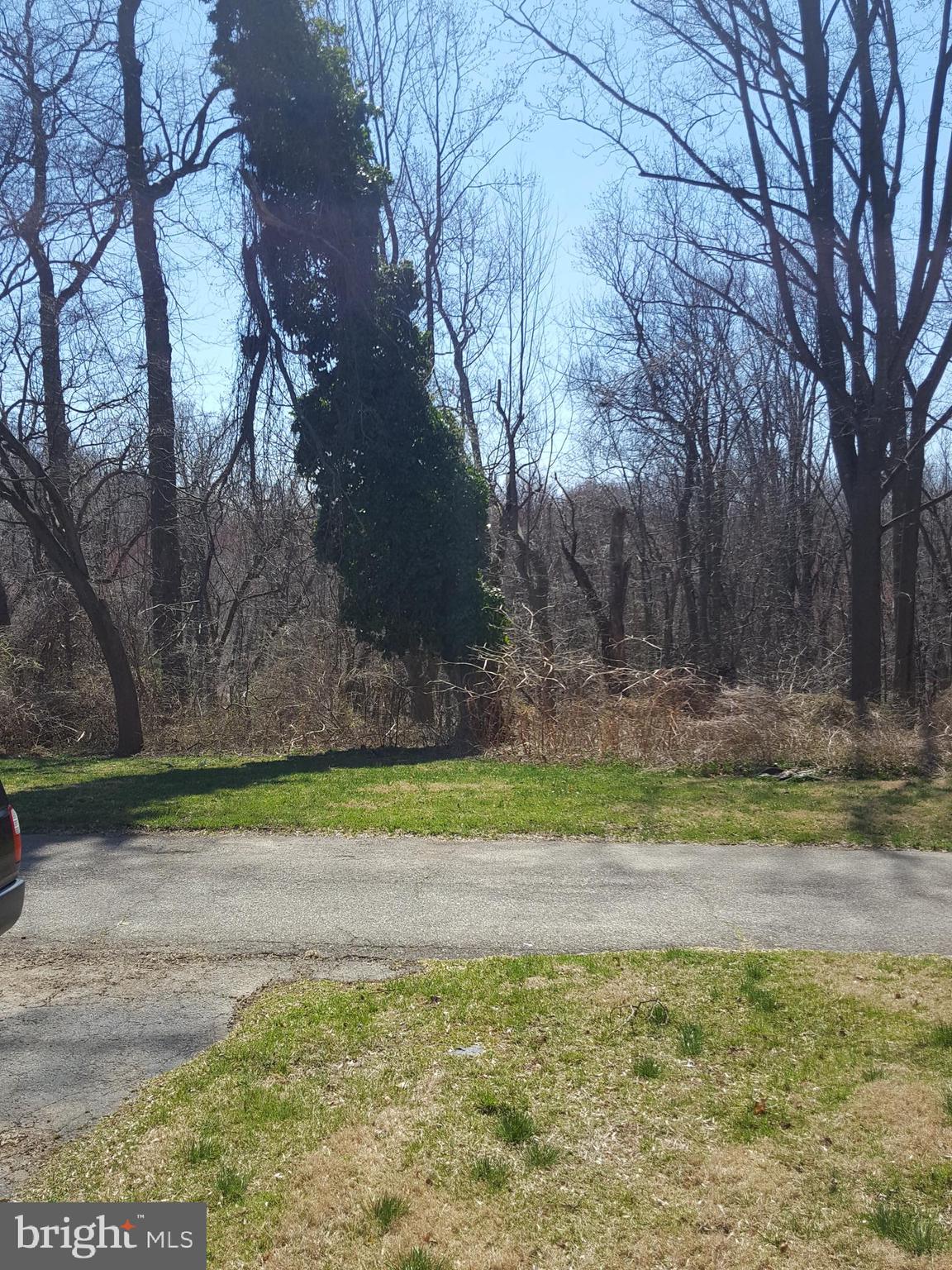 2204 Steele Road Drexel Hill, PA 19026 - Photo 5 of 19 View at rear