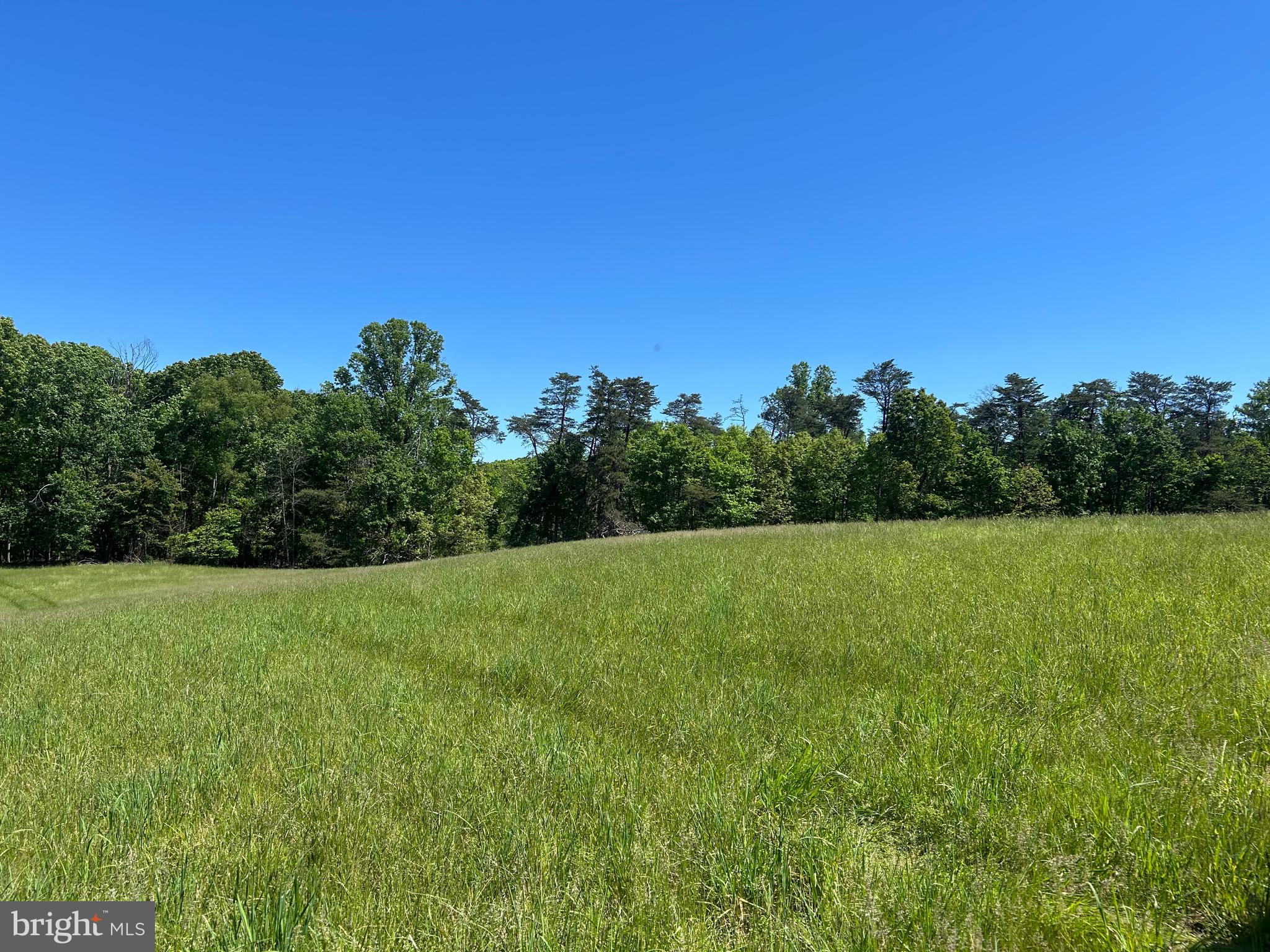 South Timber Ridge Road Cross Junction, VA 22625 - Photo 22 of 32 a view of field with trees in the background