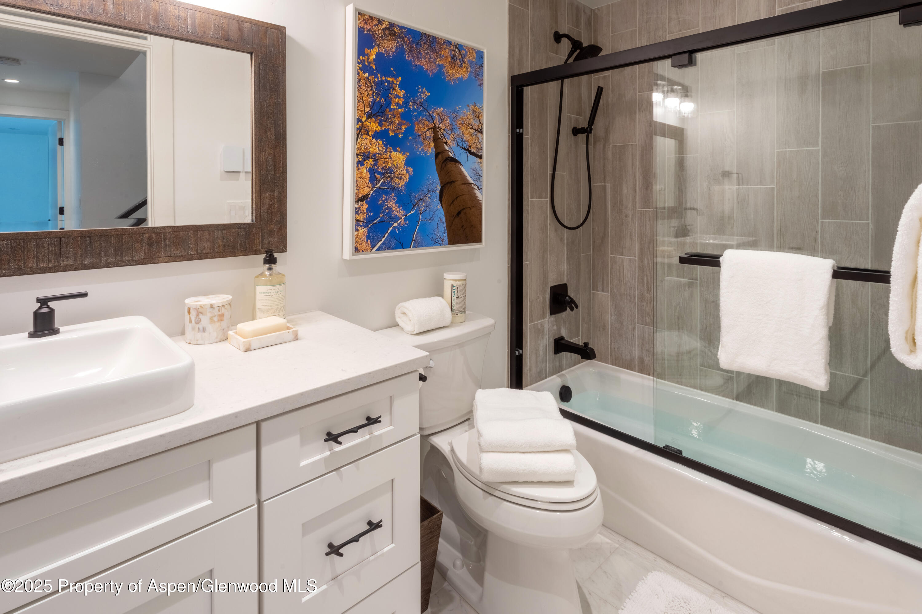 145 North Ridge Lane, Unit 2 Snowmass Village, CO 81615 - Photo 17 of 22 a bathroom with a sink a toilet and shower