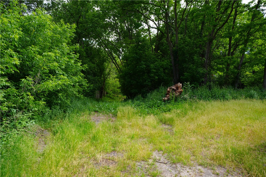 355 Fairport Road East Rochester, NY 14445 - Photo 7 of 11