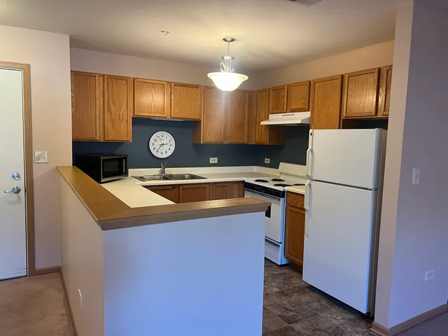 $2,300 | 801 North McLean Boulevard, Unit 226, Elgin, IL 60123