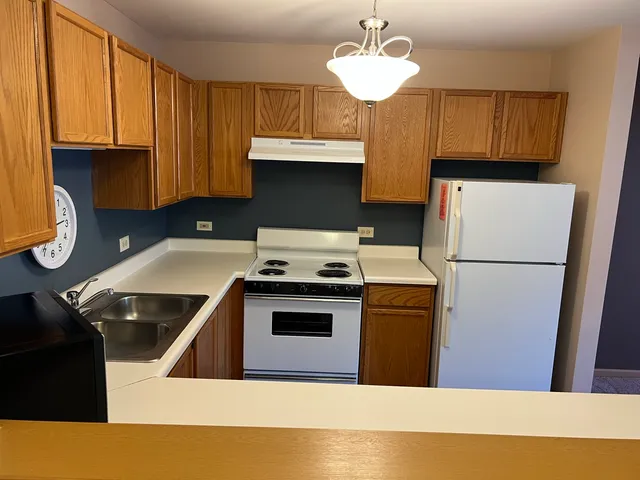 a kitchen with a refrigerator a stove a sink and dishwasher