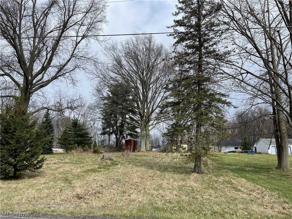 6891 South Raccoon Road Canfield, OH 44406 - Photo 3 of 5 Gallery Image 3