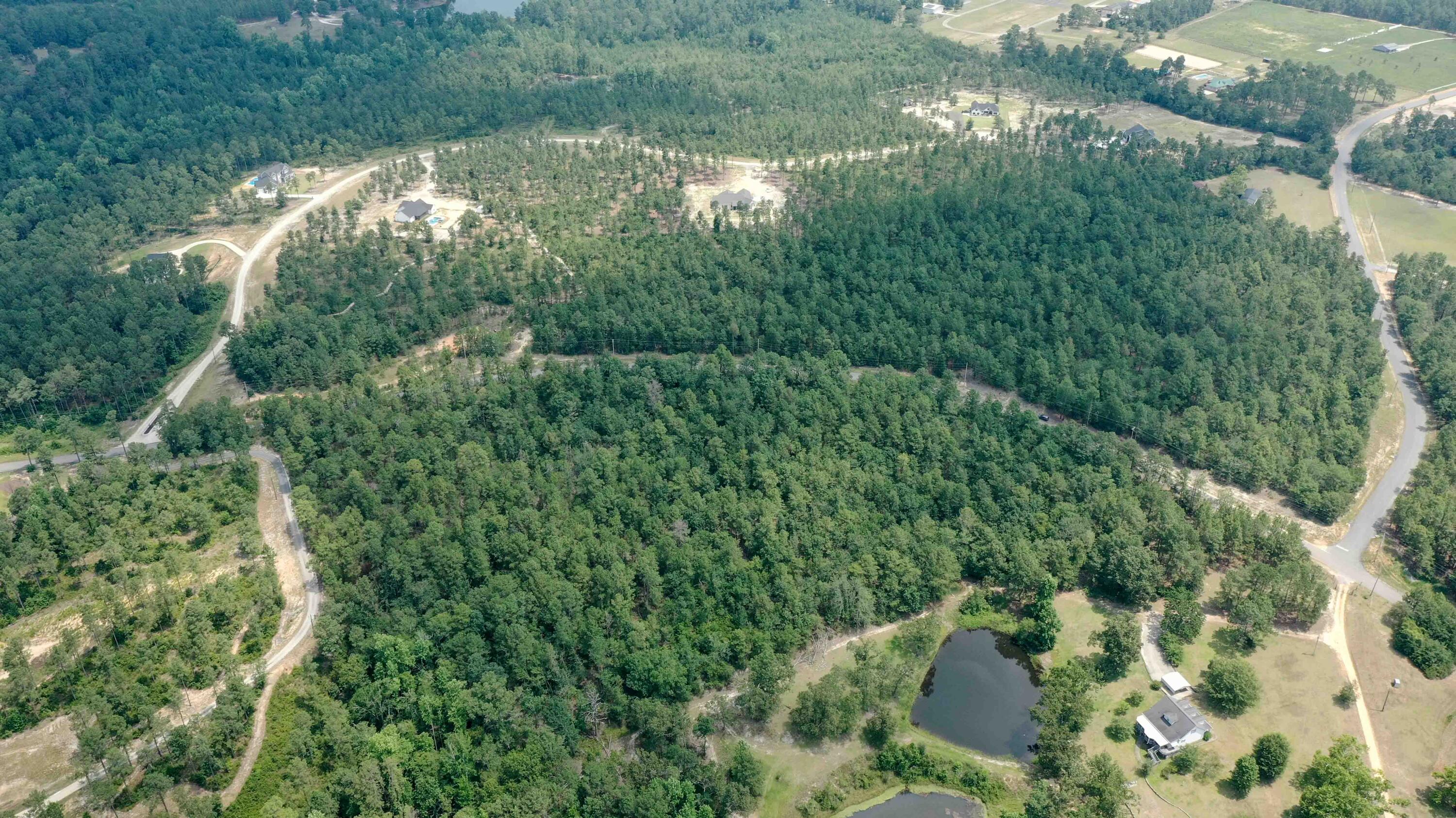 7 Mt Zion Road Williston, SC 29853 - Photo 4 of 15