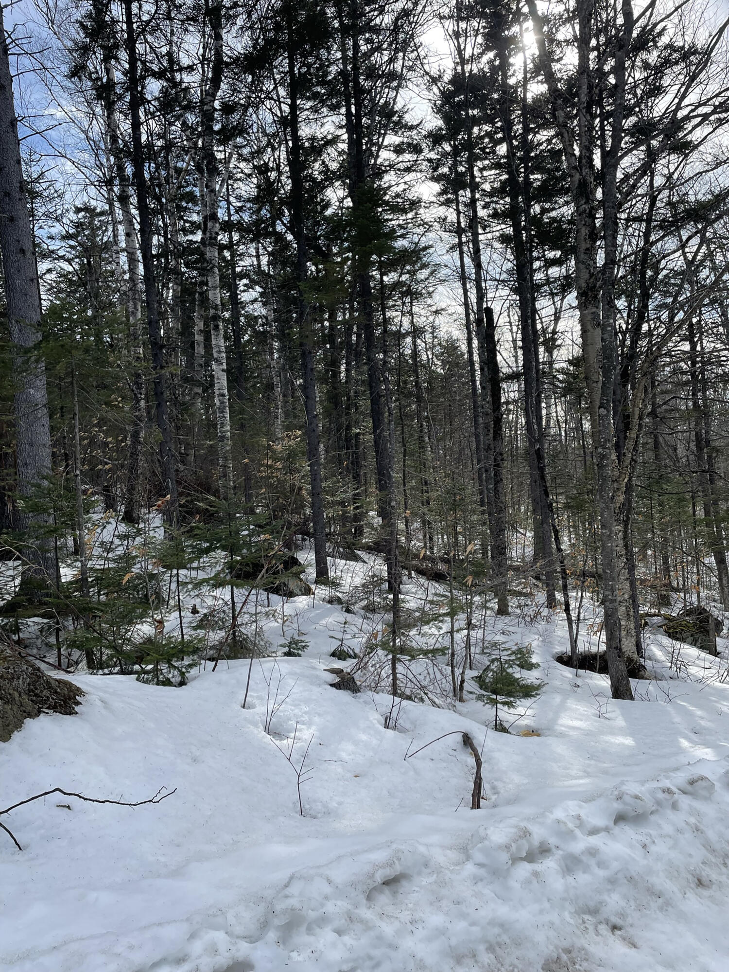 2030 Hillside Road Carrabassett Valley, ME 04947 - Photo 5 of 12 IMG_5577