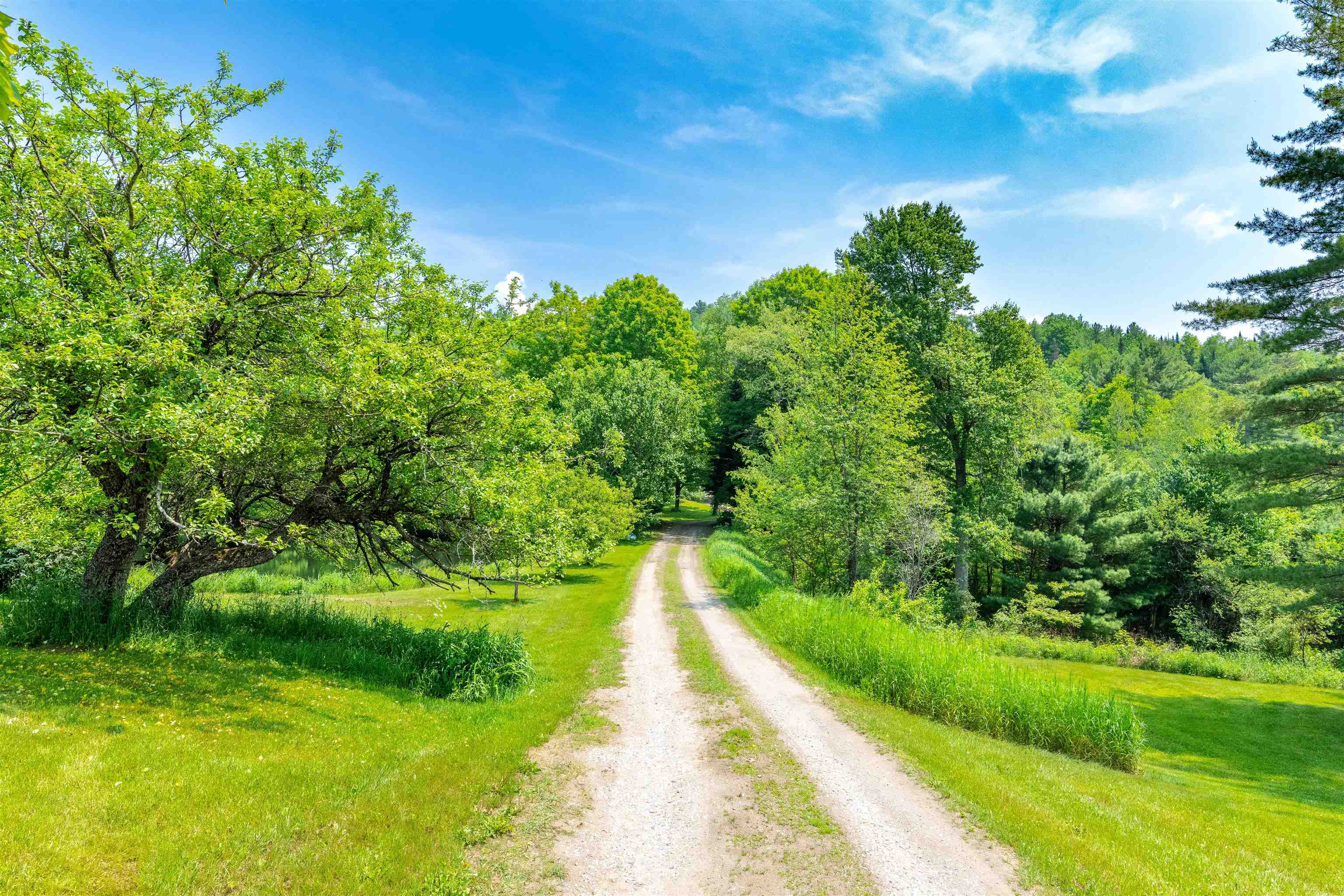 1342 Gilfillan Road Ryegate, VT 05069 - Photo 5 of 51
