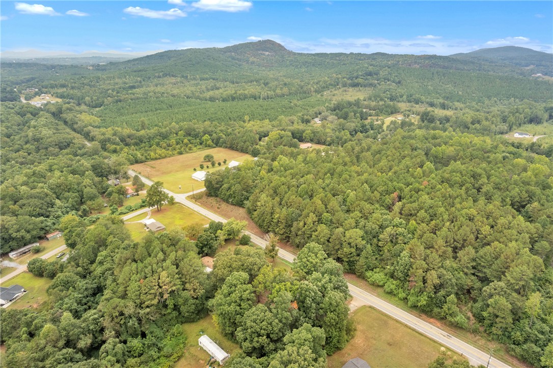 1424 Farrs Bridge Road Easley, SC 29640 - Photo 4 of 32
