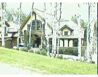 Primary Photo
