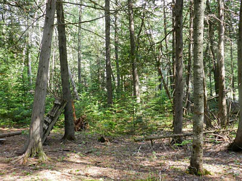 44 Deer Ridge Road Corinna, ME 04928 - Photo 31 of 31 Land.
