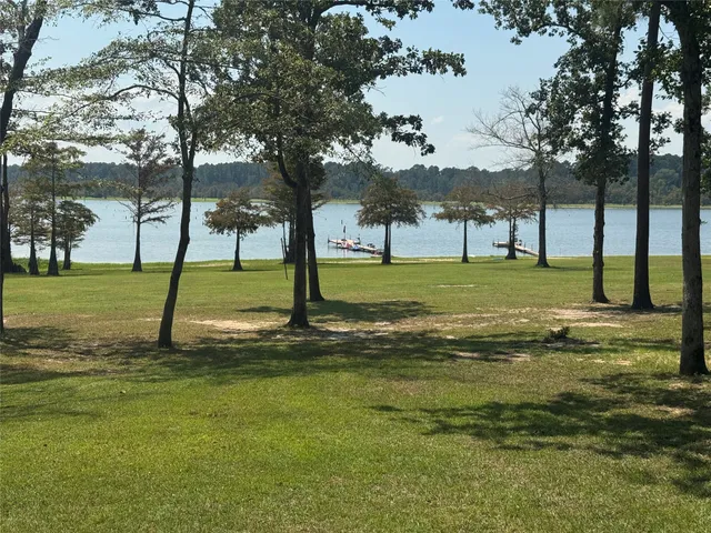 a view of a trees in a park