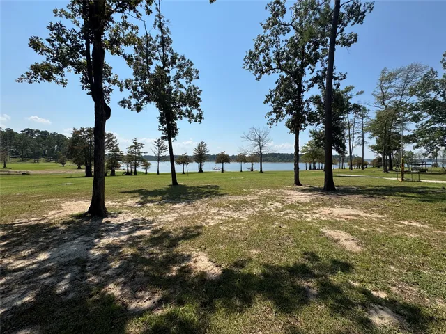 a view of a park with large trees