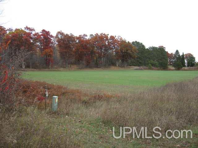 T-wi Bear View Lane Amberg, WI 54102 - Photo 6 of 8