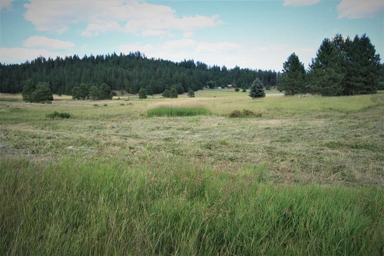 22408 North Dunn Road Chattaroy, WA 99003 - Photo 14 of 17