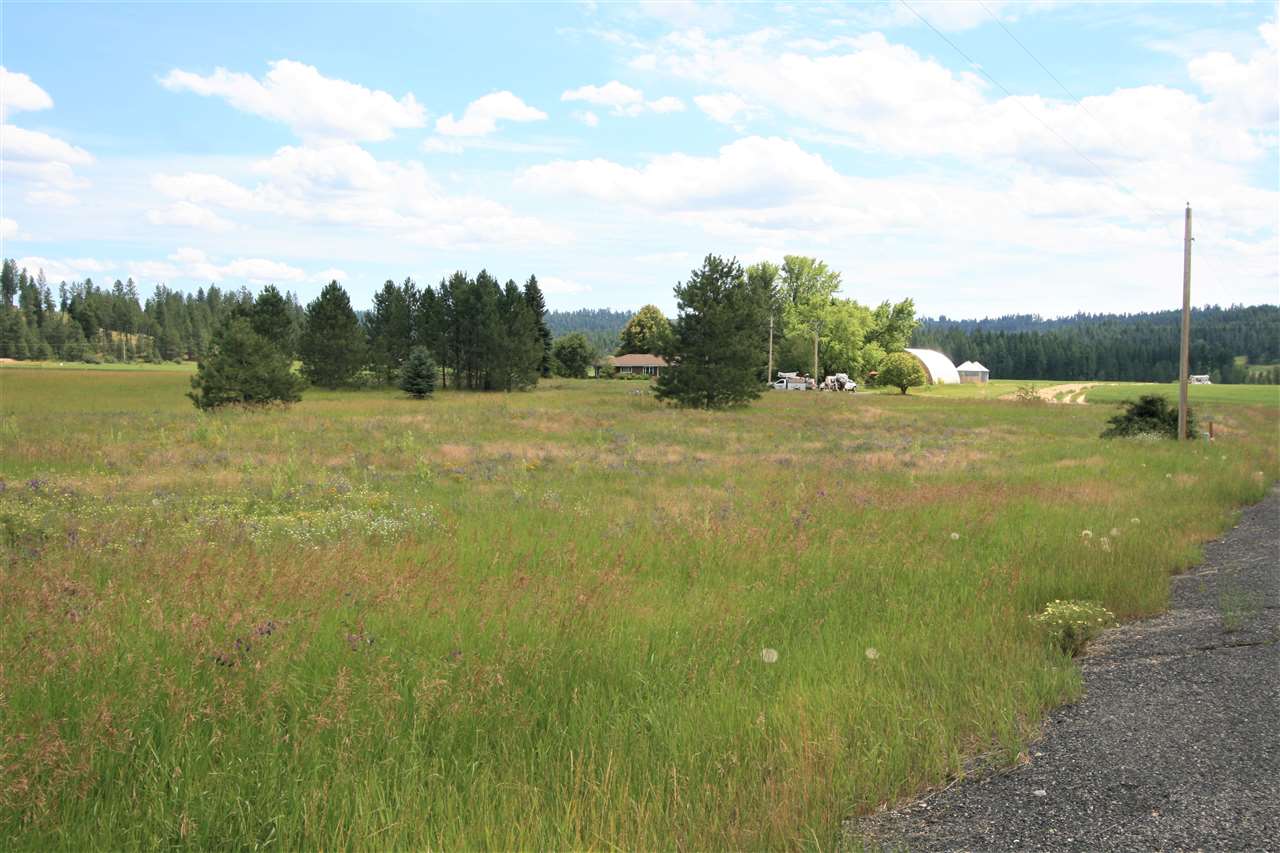 22408 North Dunn Road Chattaroy, WA 99003 - Photo 3 of 17