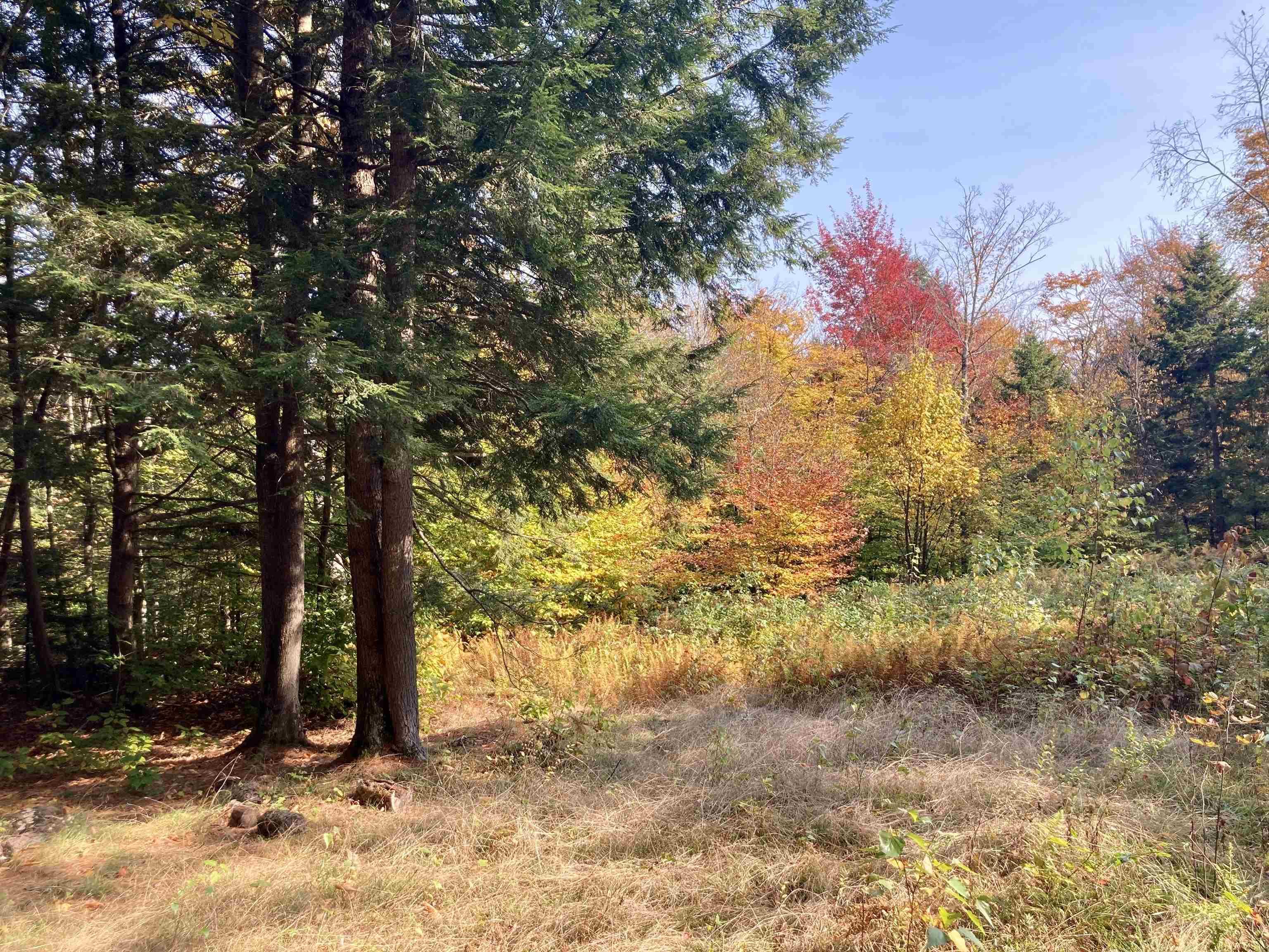 Lot 5 Taylor Road Waterbury, VT 05676 - Photo 1 of 6