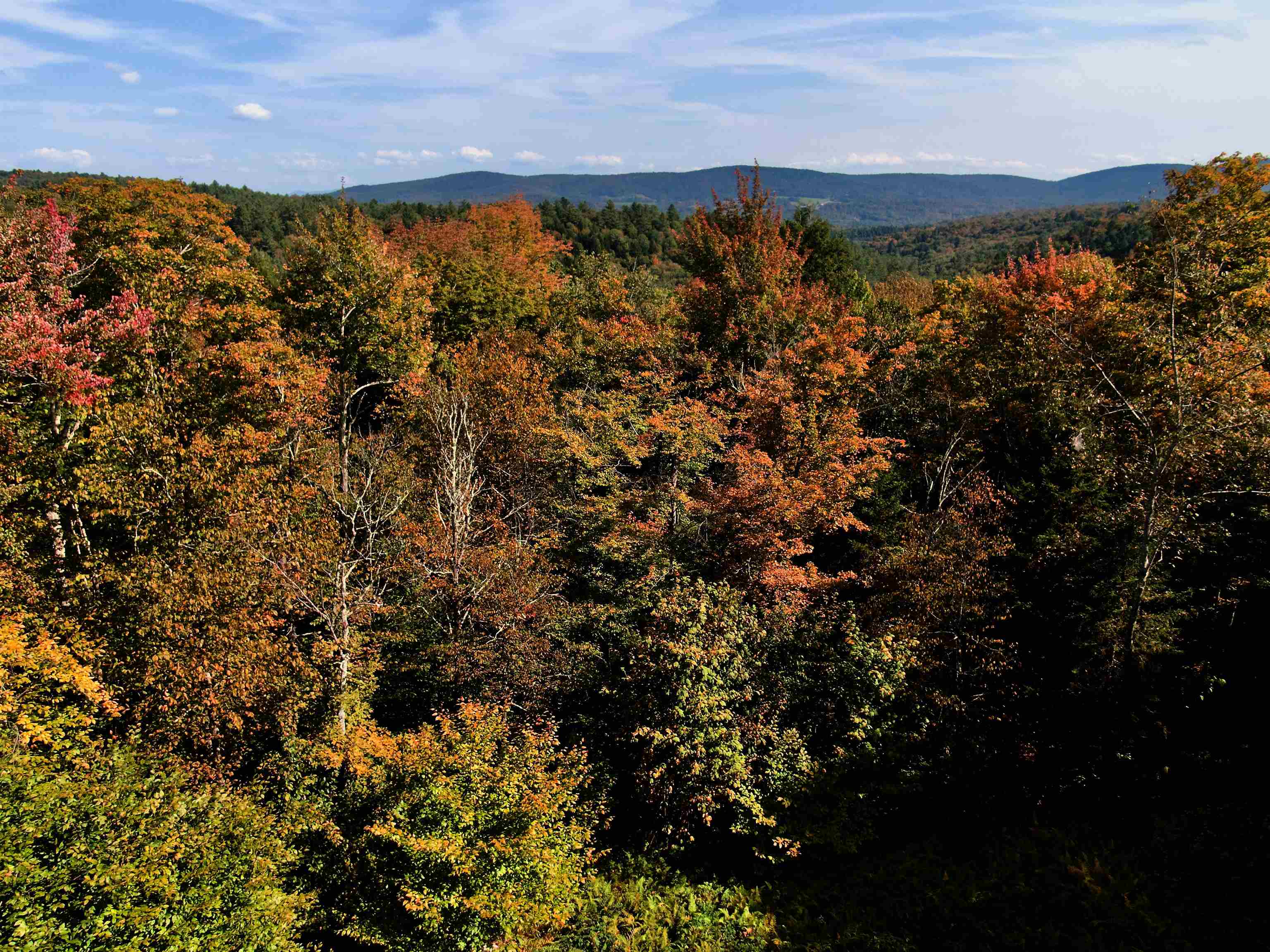Lot 5 Taylor Road Waterbury, VT 05676 - Photo 2 of 6