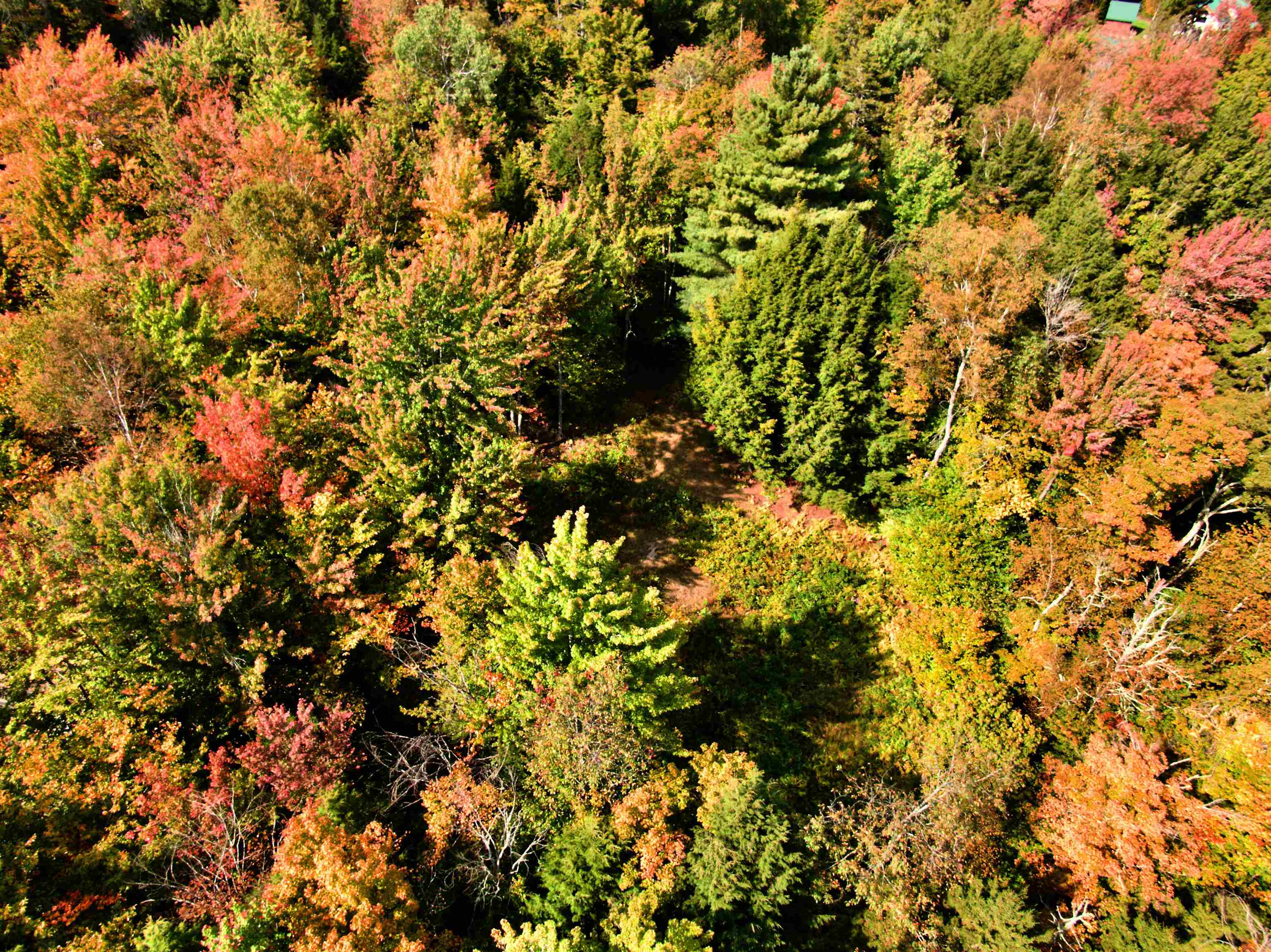 Lot 5 Taylor Road Waterbury, VT 05676 - Photo 4 of 6