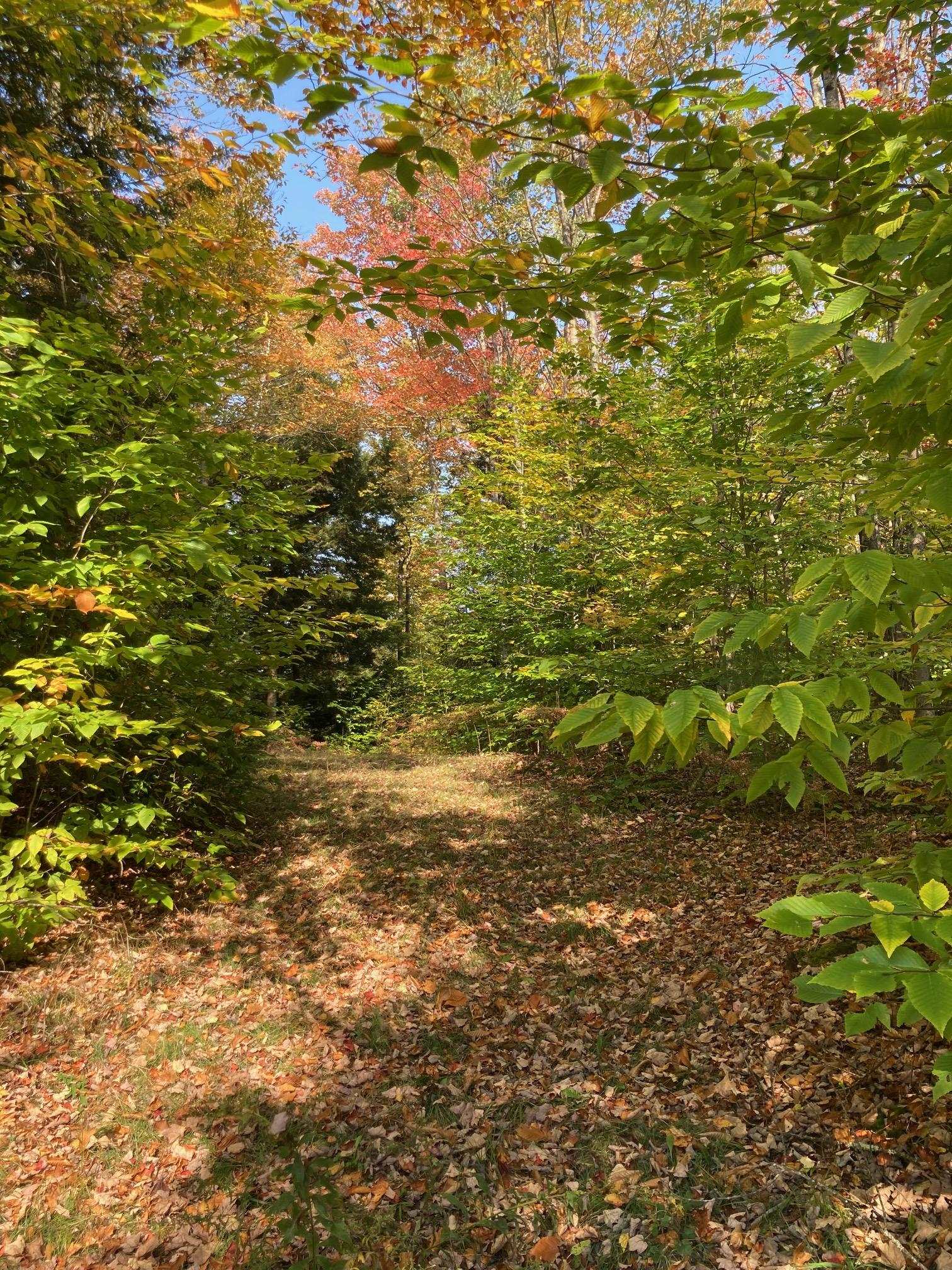 Lot 5 Taylor Road Waterbury, VT 05676 - Photo 5 of 6