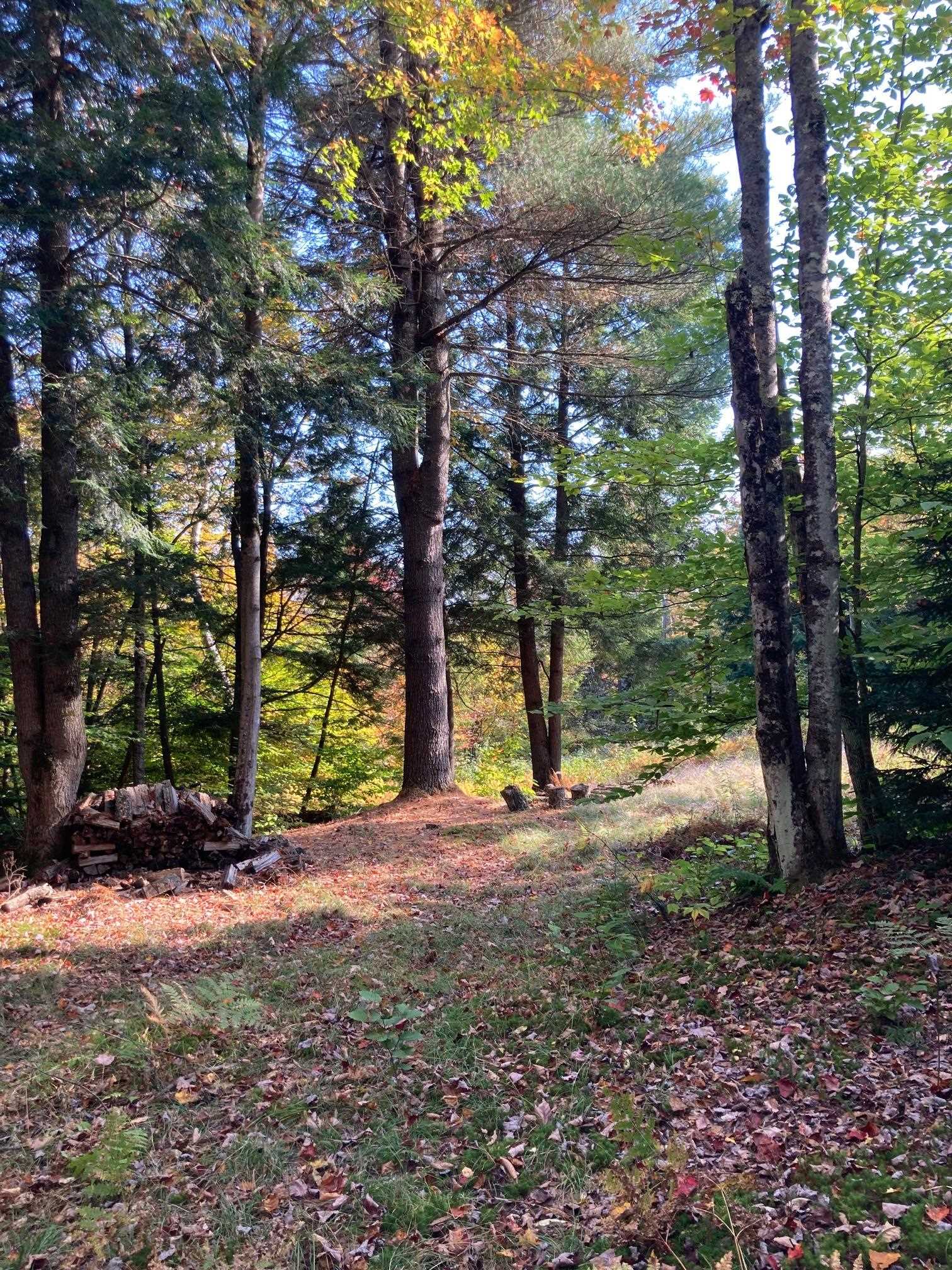 Lot 5 Taylor Road Waterbury, VT 05676 - Photo 6 of 6