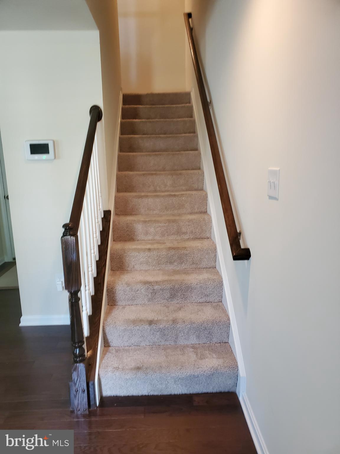 Basement Level Stairway