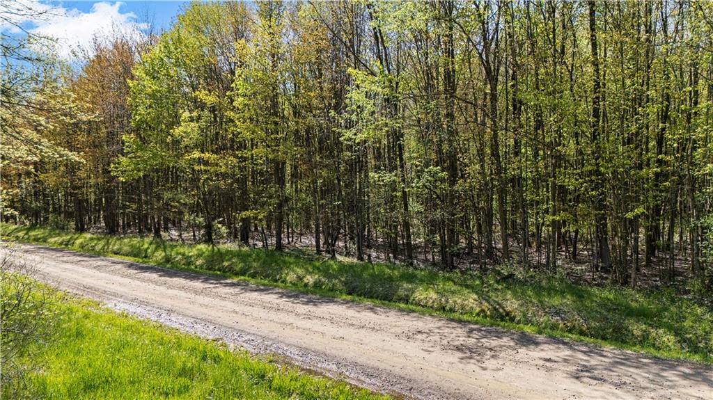 2851 Pine Road Atlantic, PA 16111 - Photo 10 of 18