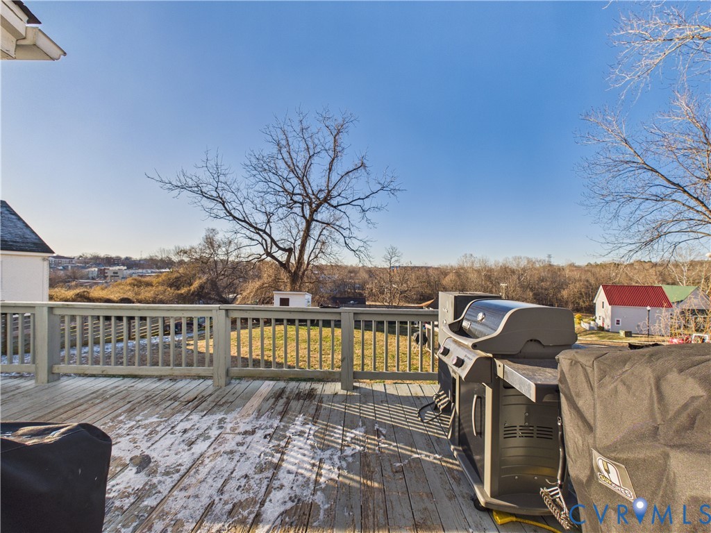 313 North Bridge Street Farmville, VA 23901 - Photo 20 of 43