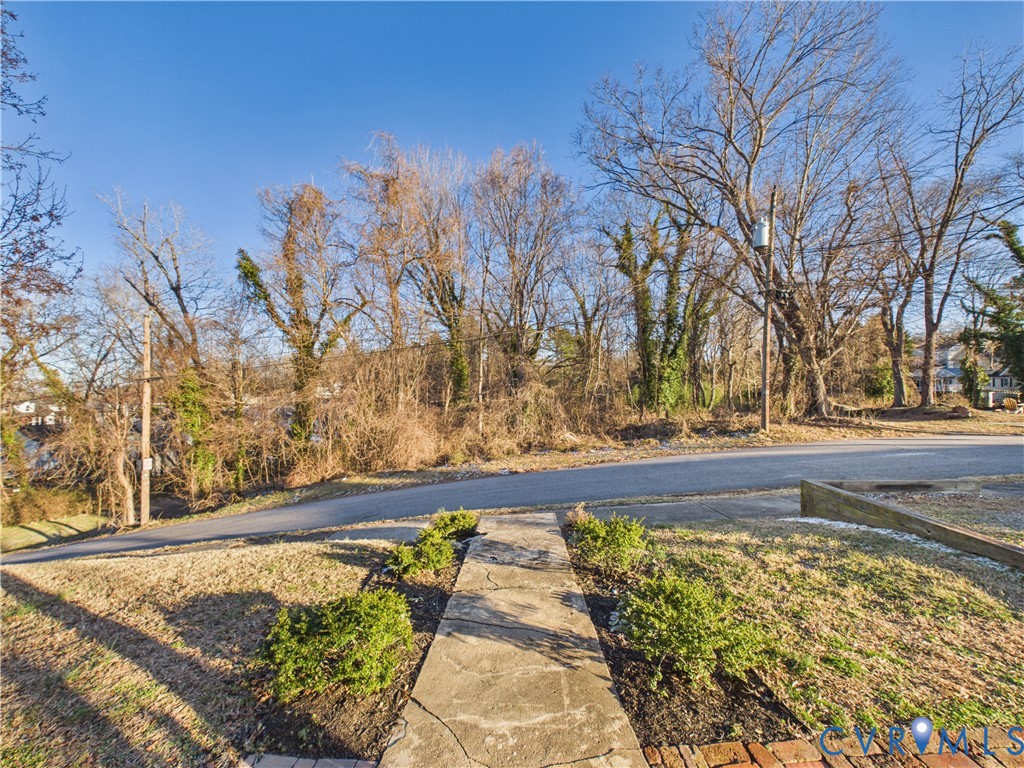 313 North Bridge Street Farmville, VA 23901 - Photo 29 of 43