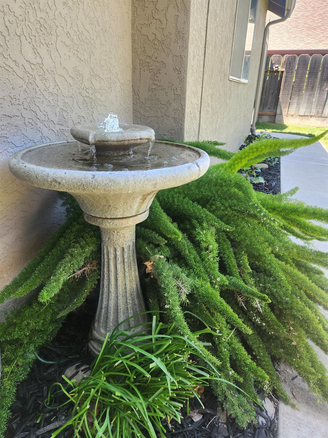 777 Jordanolo Drive Ripon, CA 95366 - Photo 40 of 61 a view of a fountain in the garden