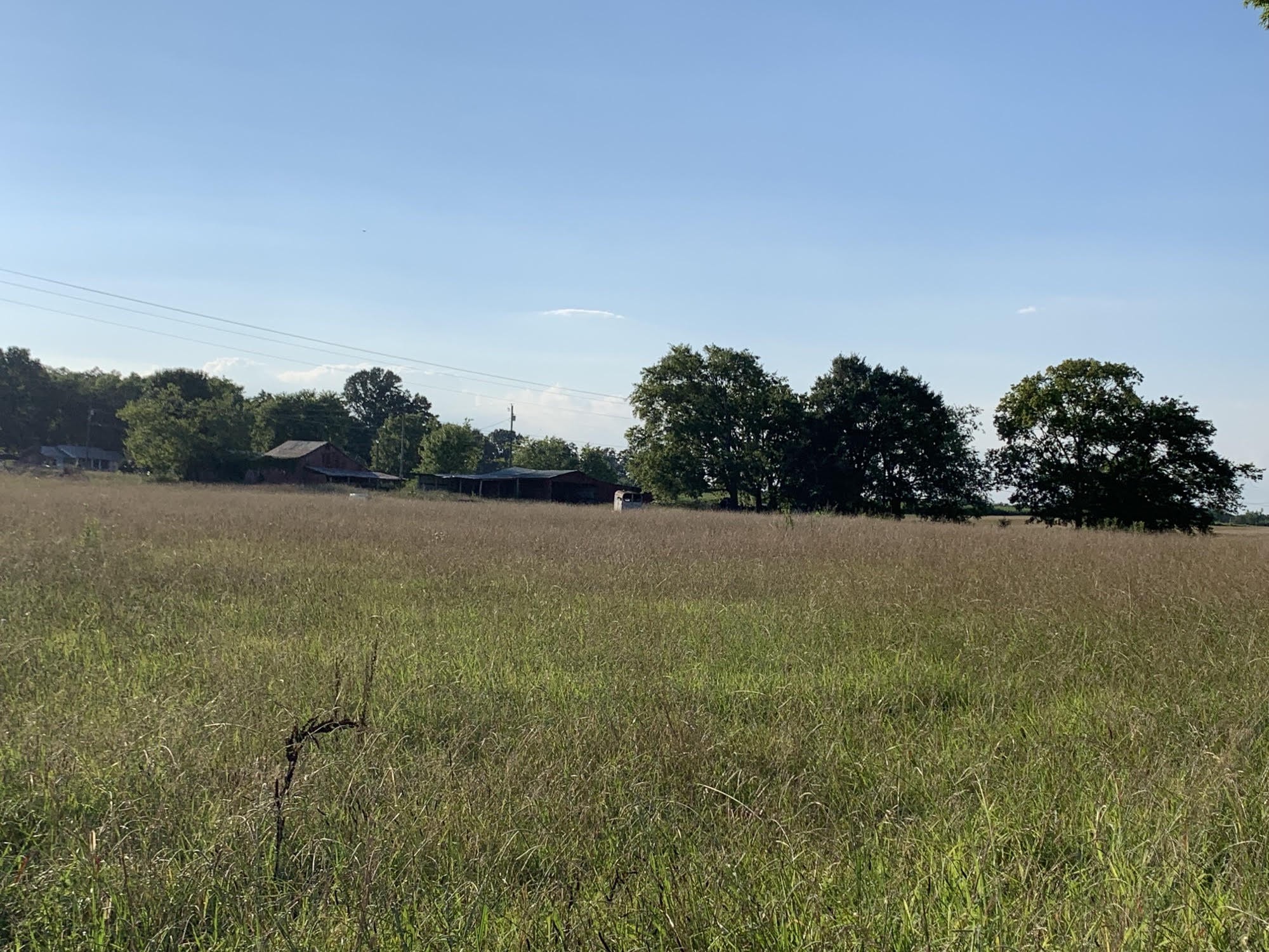 9463 Midland Road Bell Buckle, TN 37020 - Photo 3 of 5 a view of a field with an ocean