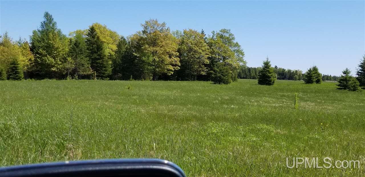 Tbd Kelly Road Gulliver, MI 49840 - Photo 11 of 20 Gallery Image 11